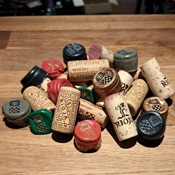 Cata Bodegas Muriel | La Tavina Bar - Restaurante 20260428_204153