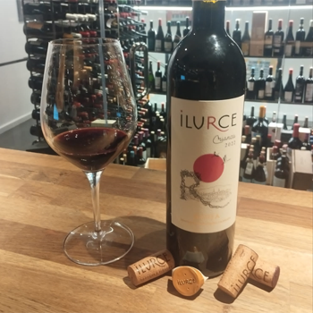 Cata Bodegas ILURCE| La Tavina Bar - Restaurante CATA ILURCE 2025 (1)