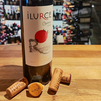 Cata Bodegas ILURCE| La Tavina Bar - Restaurante CATA ILURCE 2025 (5)