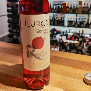 Cata Bodegas ILURCE| La Tavina Bar - Restaurante CATA ILURCE 2025 (6)