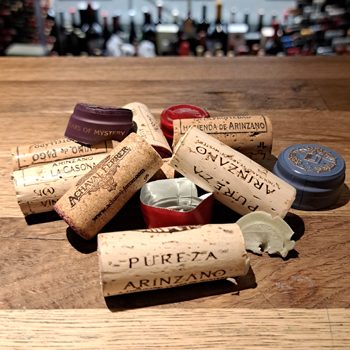 cata pago de arinzano (3)