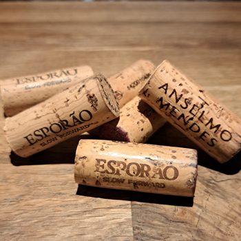 Cata Cata del mundo: PORTUGAL| La Tavina Bar - Restaurante cata_portugal (7)